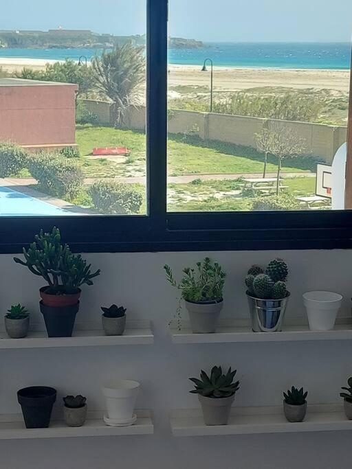 Appartement Azul Oceano